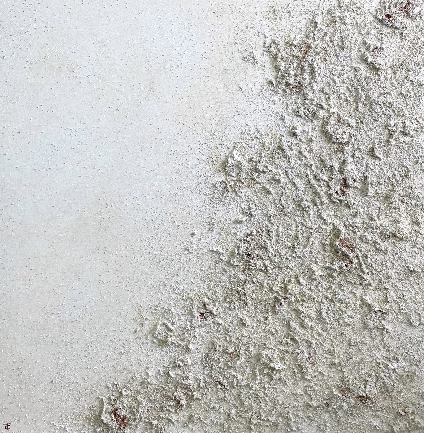 Obra «Arrecife» de Tania Ciffer