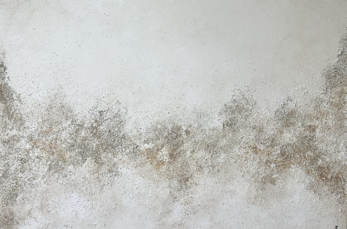 Obra «Despertar de la naturaleza» de Tania Ciffer