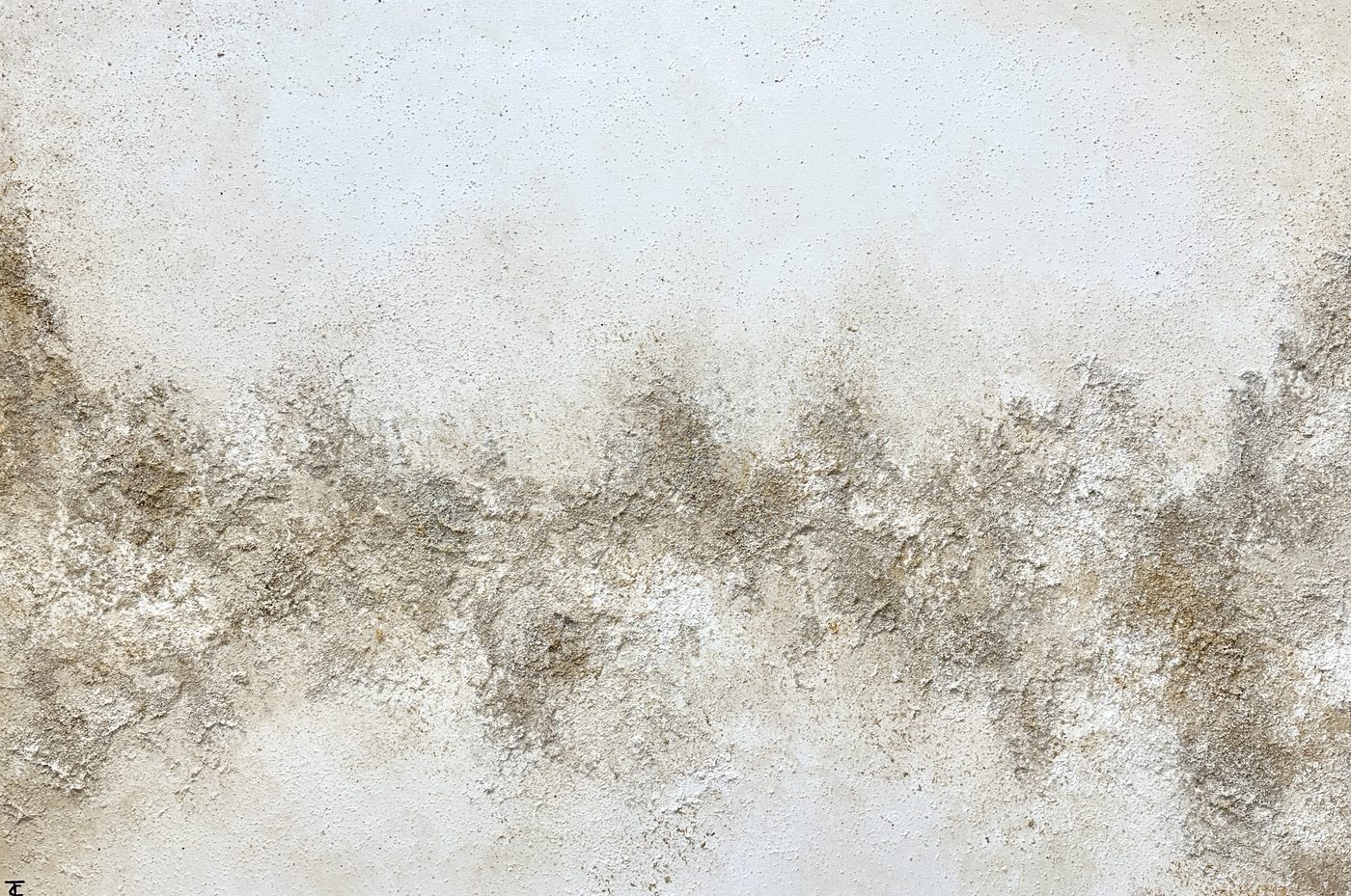 Obra «Despertar de la naturaleza» de Tania Ciffer
